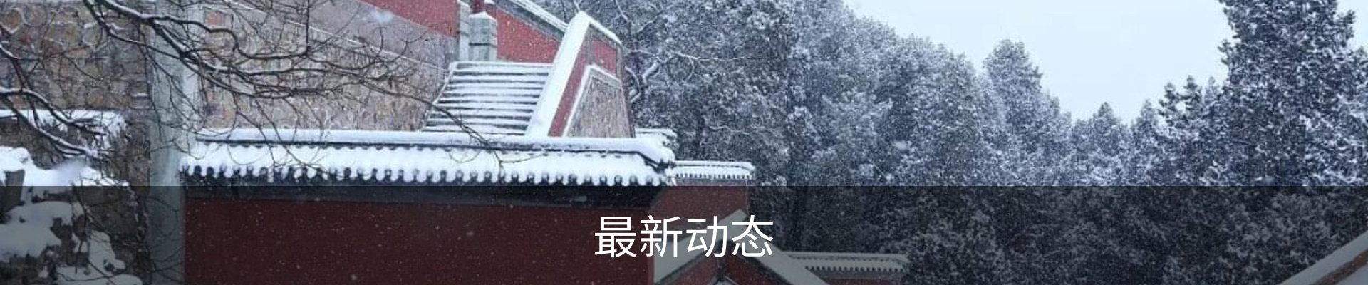 最新动态